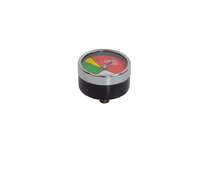 Filter indicator to 1/8 NPTF