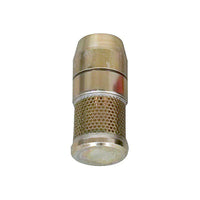 Bottom valve with strainer & non-return valve IG1"